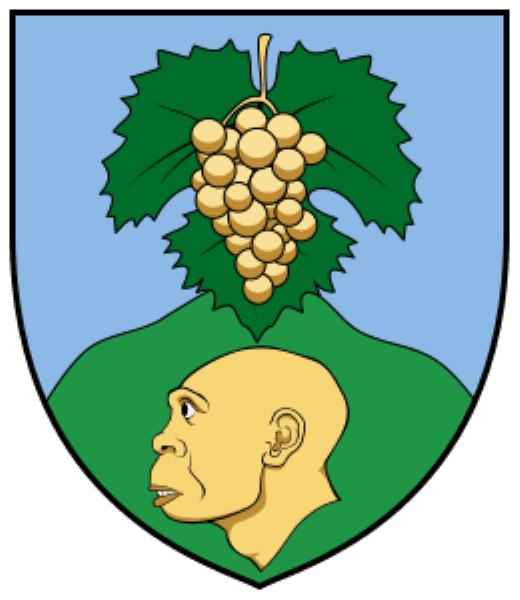 Vértesszőlős logo